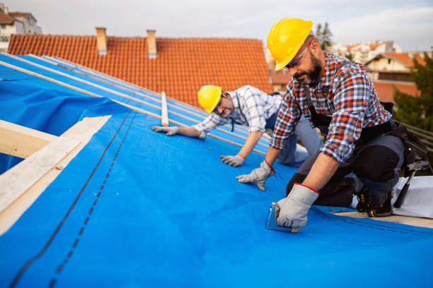 Best Local Roofing Companies  in Jacksonvle, IL